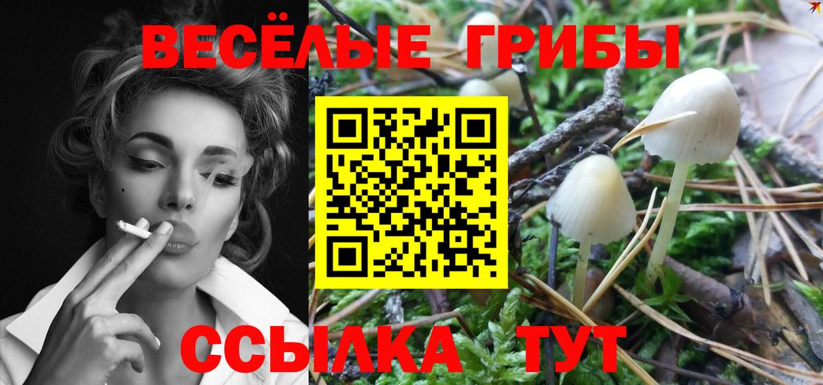 Мурино  Галлюциногенные грибы мухоморы  Вход с VPN 