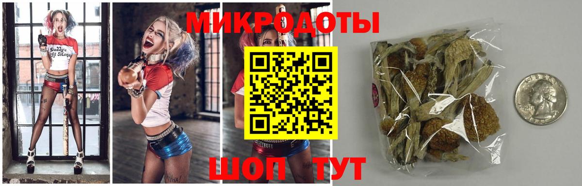 Псилоцибиновые грибы MAGIC MUSHROOMS Мурино